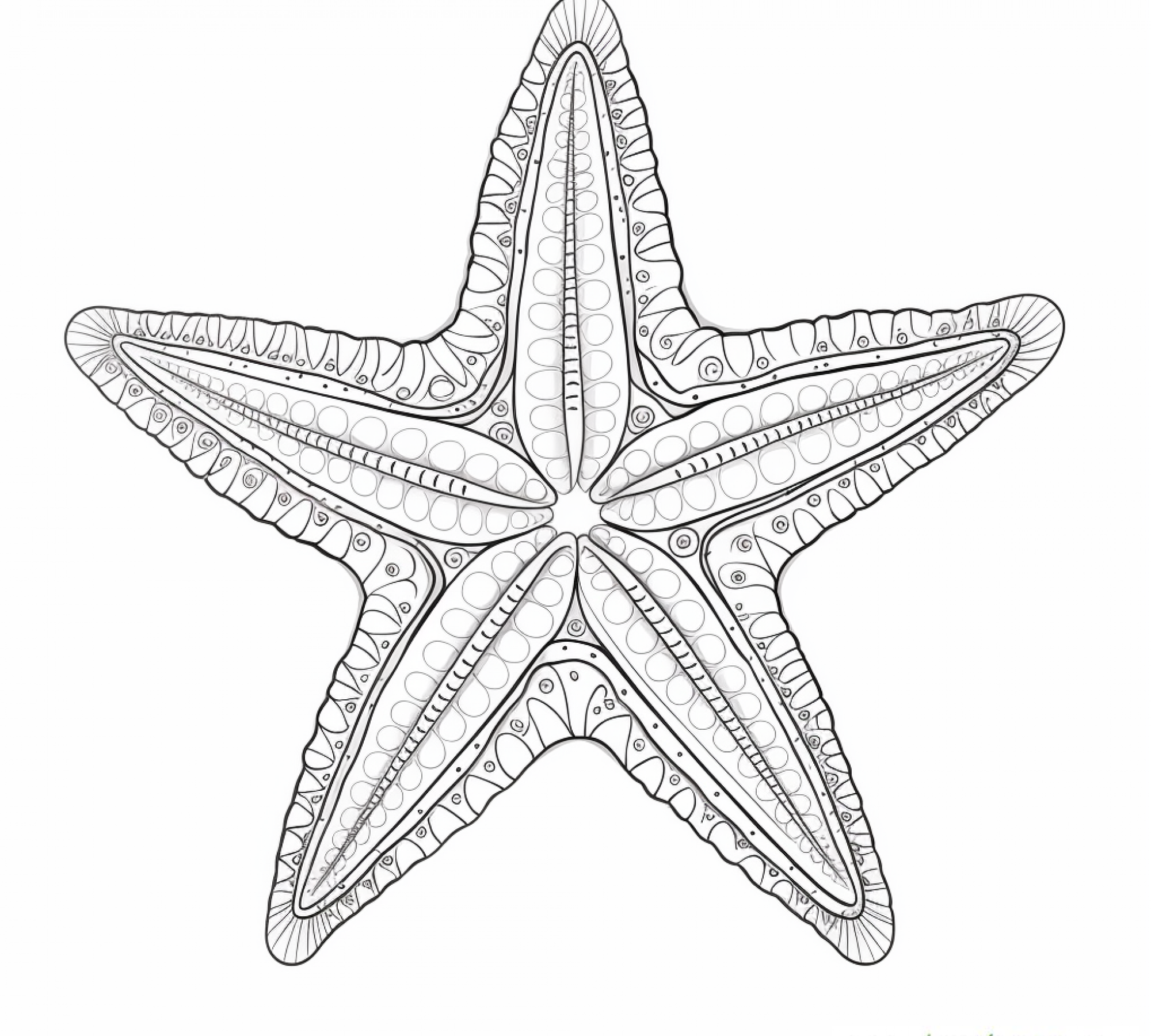 Free printable coloring page of Starfish