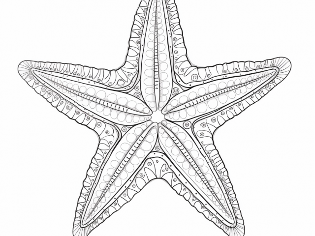 Coloring page of Starfish